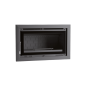 Insert à bois en acier, foyer en fonte - ZeniHeat